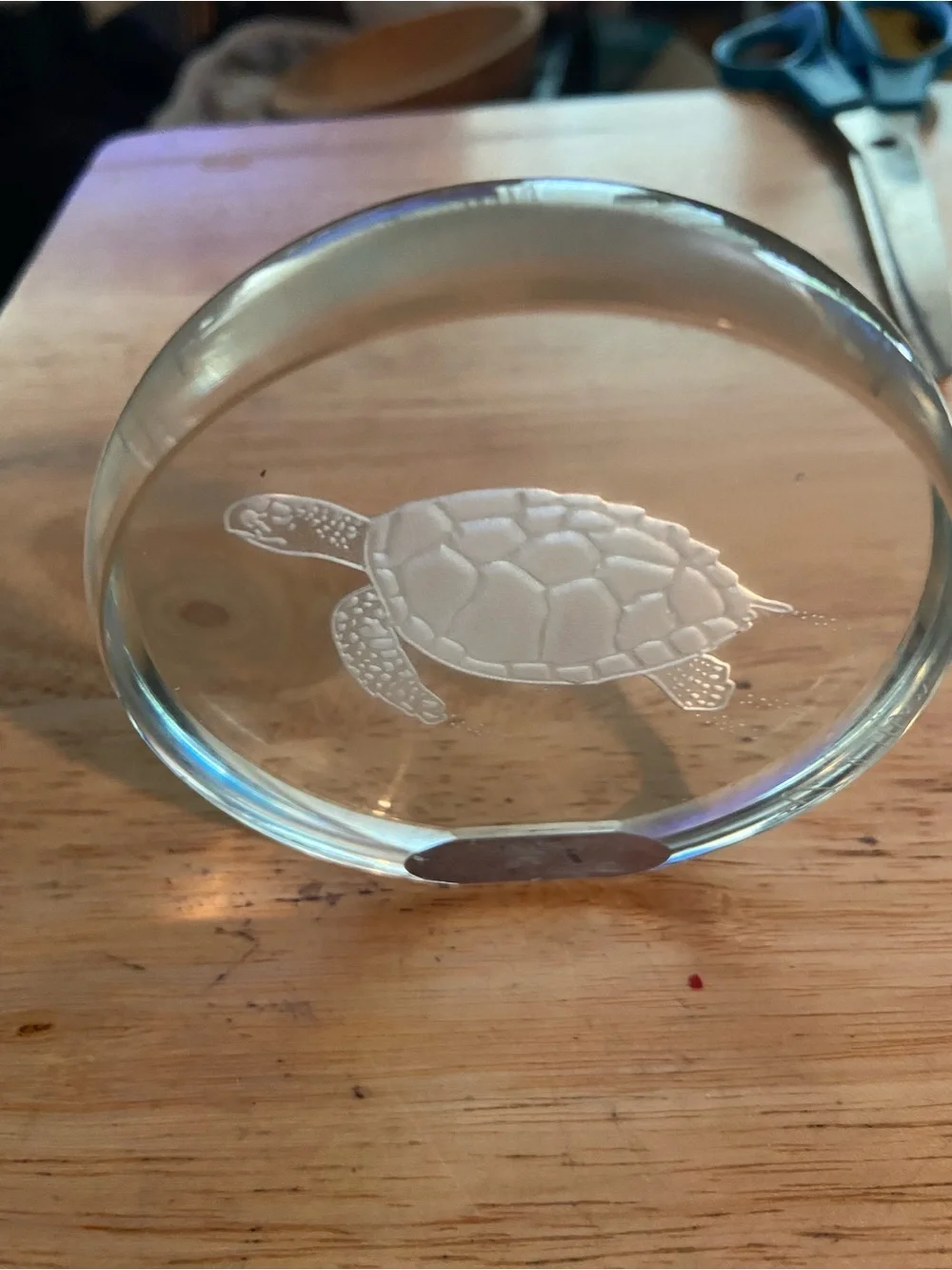 Clear Turtle Paperweight Signed David Alan